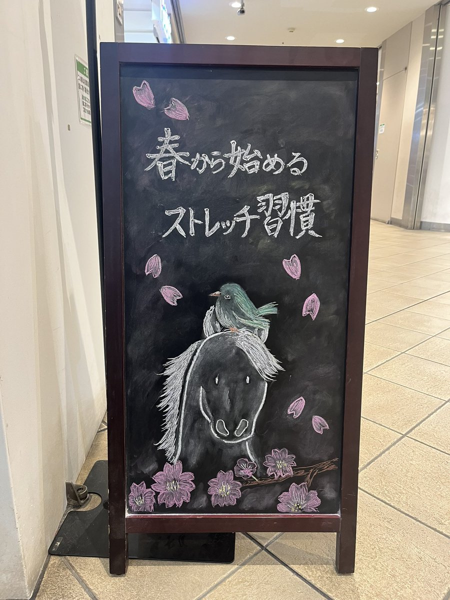 鈴木 友紀 tweet media