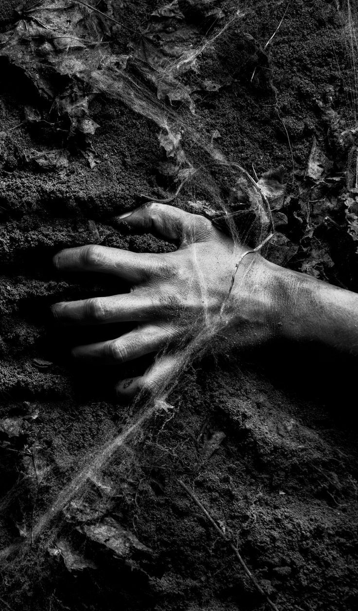 eyescream262's tweet photo. Using a keyboard ever so often it is so nice to sink your fingers in soil or dough or do something creative, or perhaps scratching a back...
#72days https://t.co/ZkqPwsSLrO