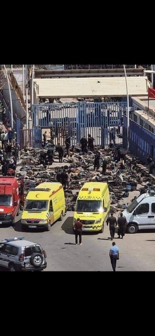 🚨🚨💢 Voilà ce que le Maroc 🇲🇦 avait fait aux migrants noirs africains. 
💢Ni oubli , Ni pardon…………