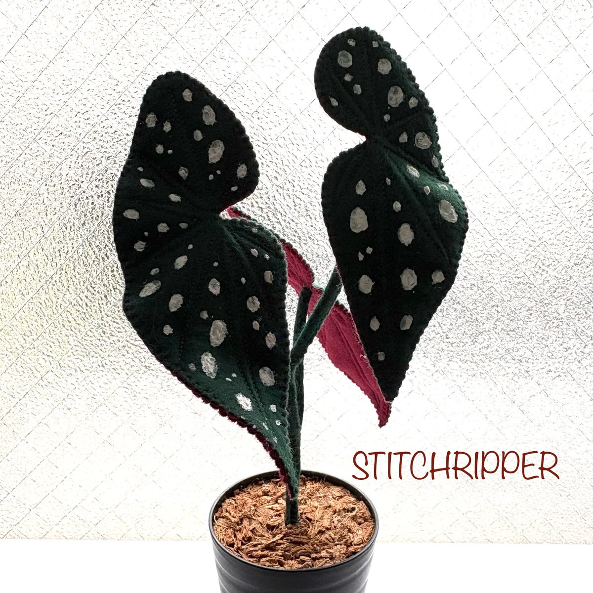 stitchripper.design (@StitchripperD) / Posts / X