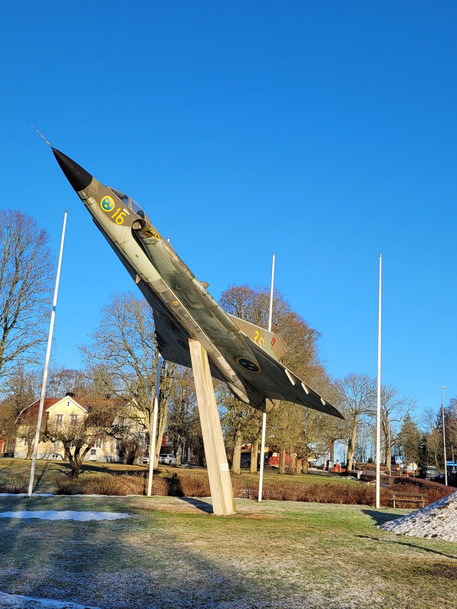 Tim Robinson tweet media