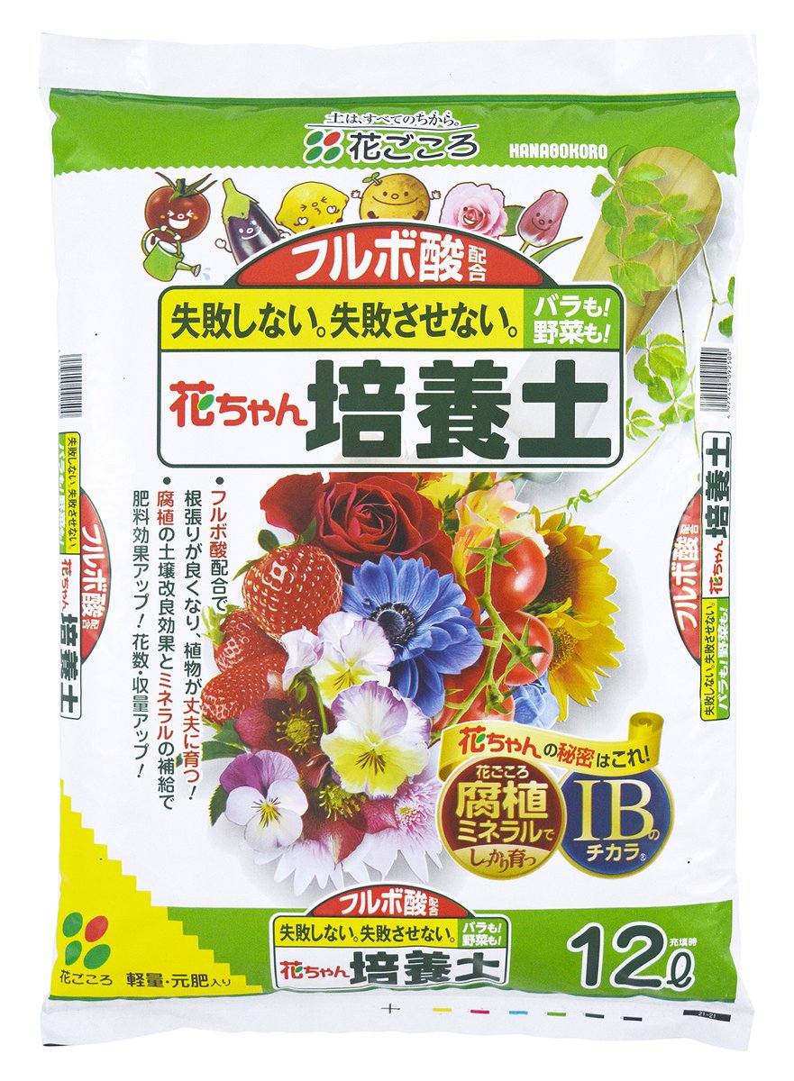 花ごころ通信【公式】 tweet media