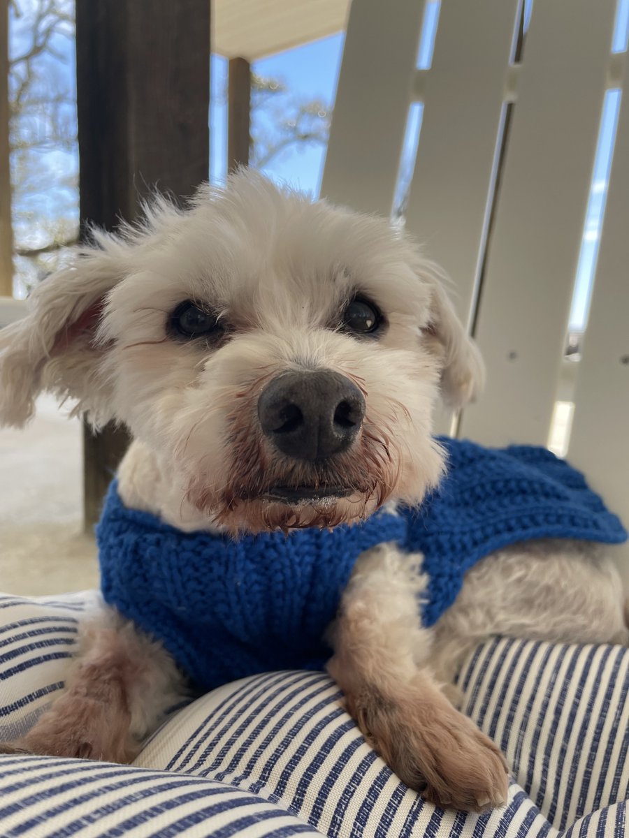 Samson & Fursibz tweet media