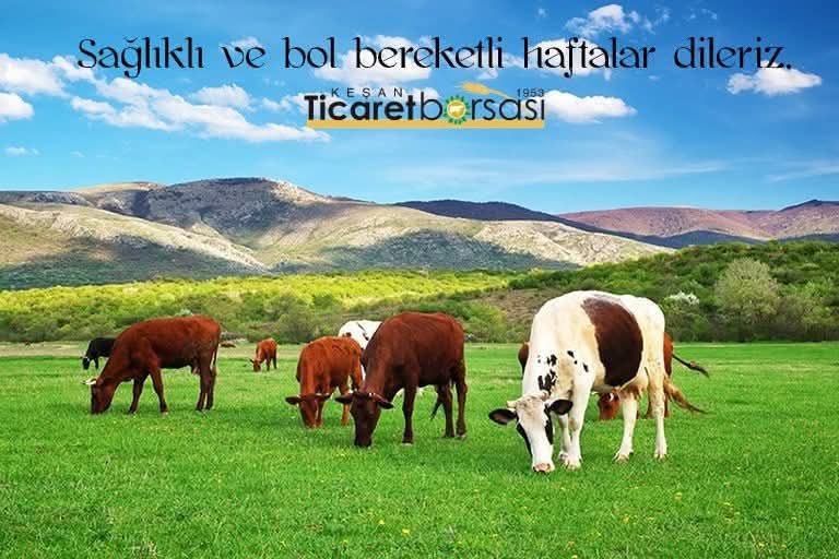 Sağlıklı ve bol bereketli haftalar dileriz.

Keşan Ticaret Borsası Meclisi