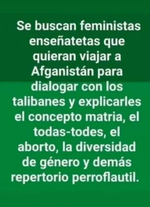 PEPE, en Español (@pepeluspain) on Twitter photo 