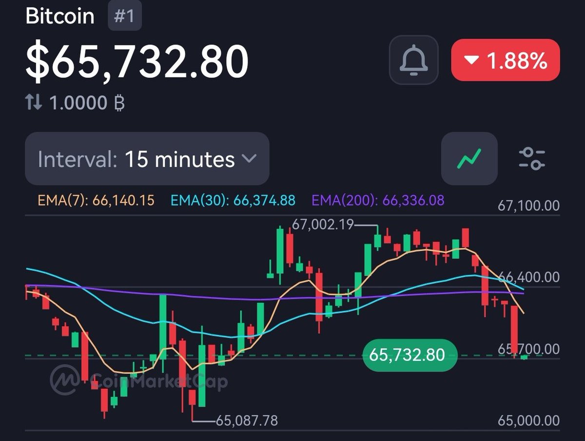 Crypto News Hunters 🎯 tweet media