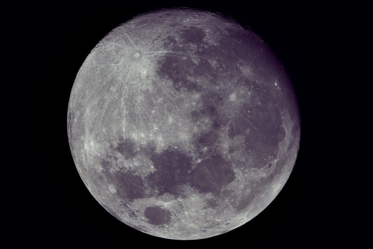 will whang🌻 tweet media