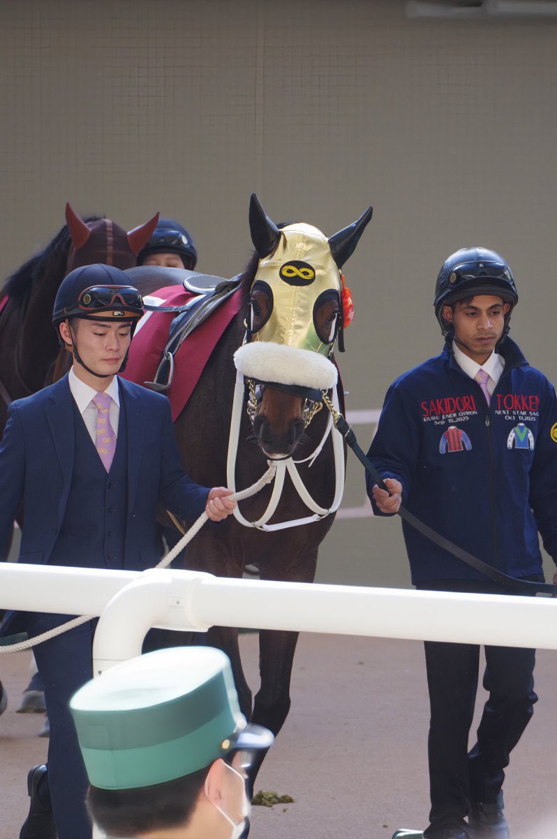 Stay Dream (@StayDream21) / Posts / X