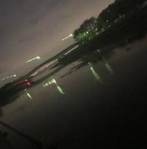 料理で待つ 🦈