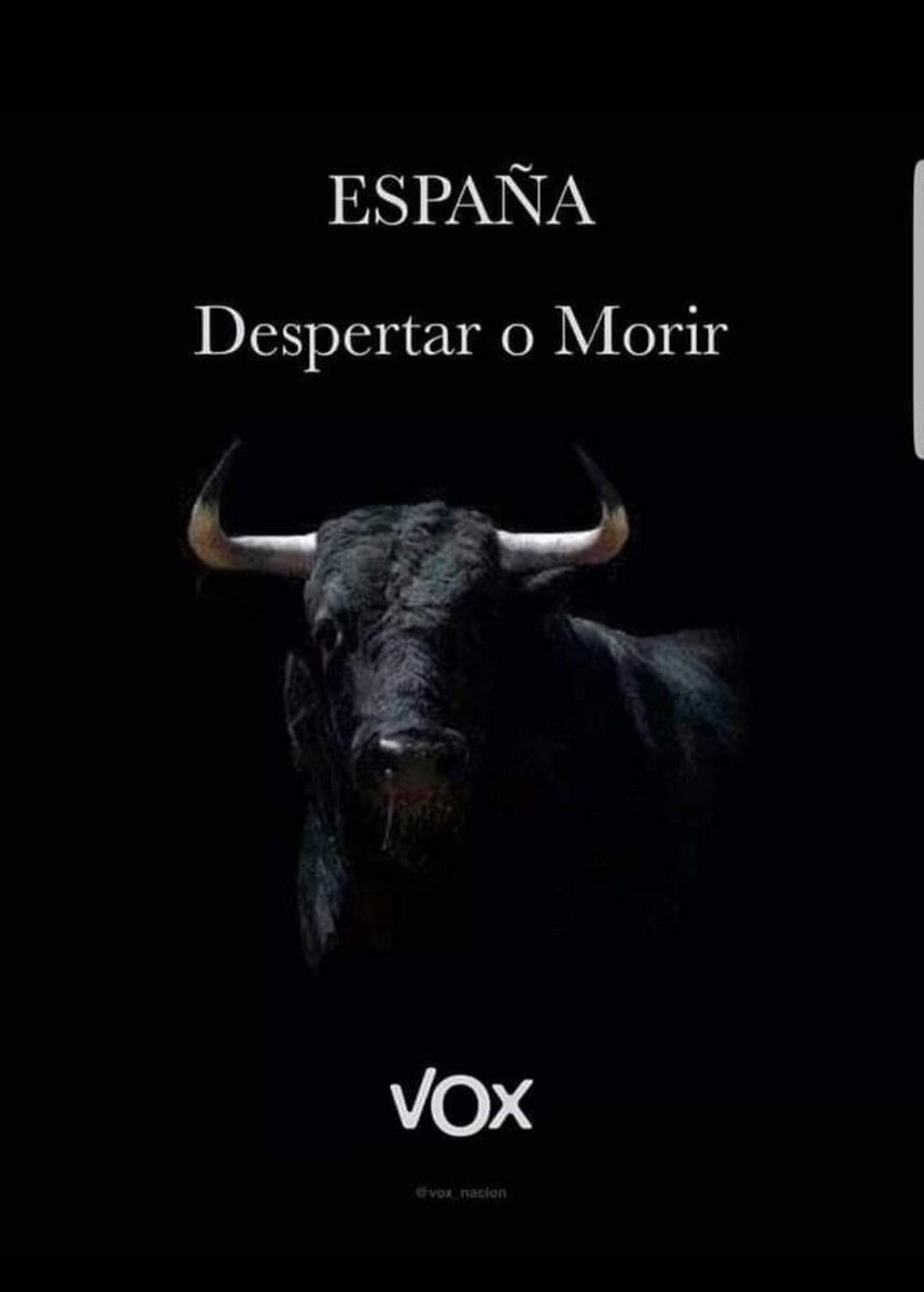 SOLO QUEDA VOX!!!💚🇪🇸💪🏼
POR ESPAÑA.