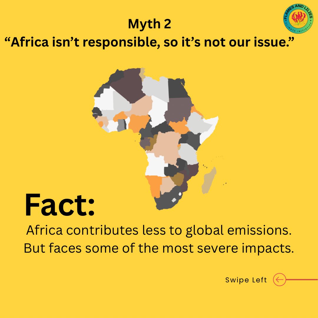 Flames and Lilies Climate Initiative tweet media