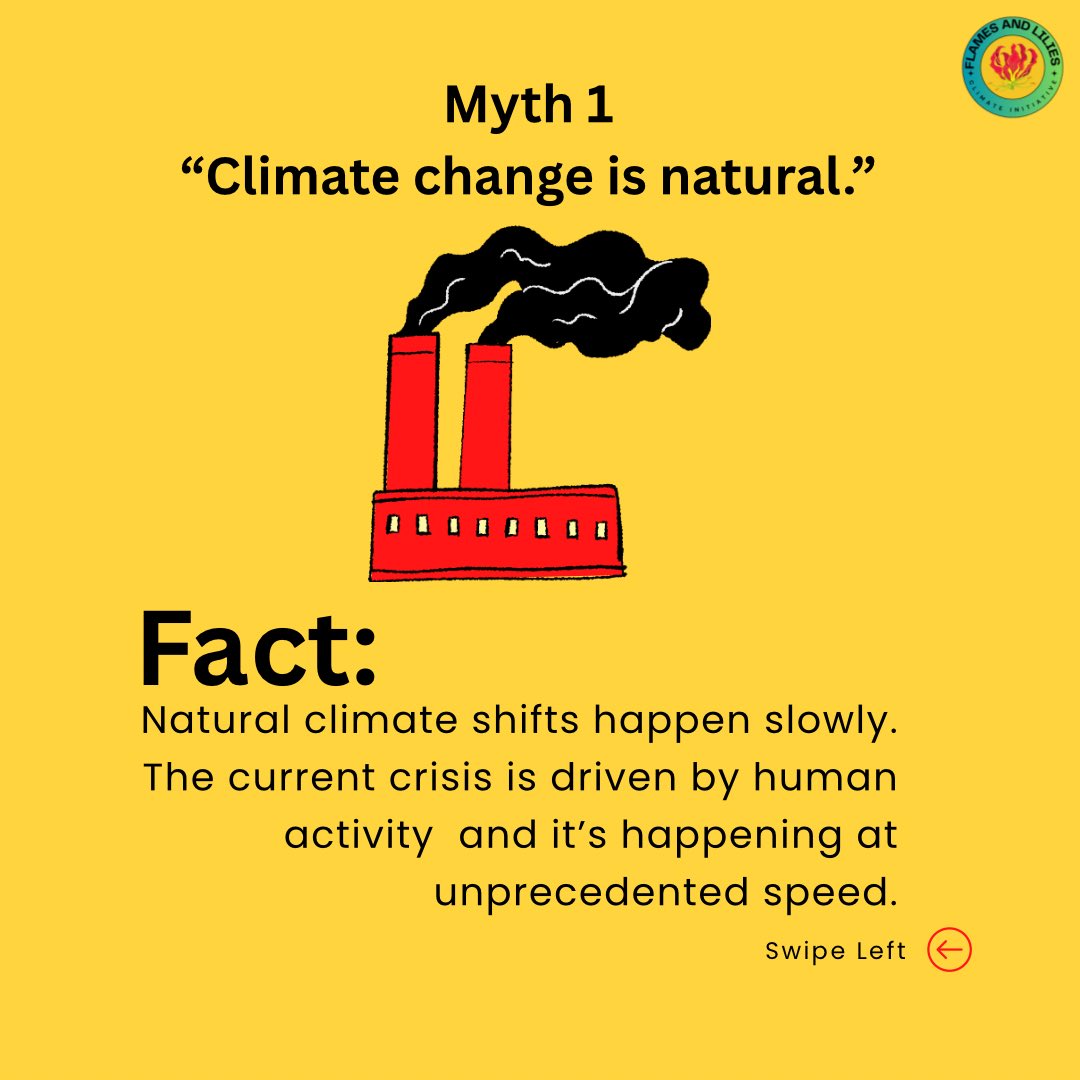 Flames and Lilies Climate Initiative tweet media