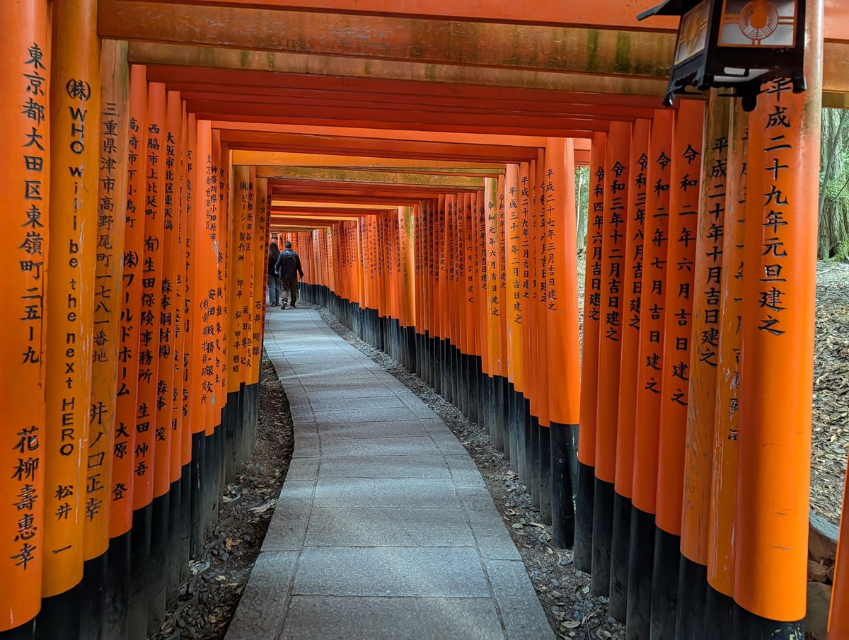 nakassyu's tweet photo. 小学生振りの清水寺
平日でも混むと言われたので朝イチで拝みに🙏
その後に千本鳥居へ https://t.co/Y9j09UAn4z