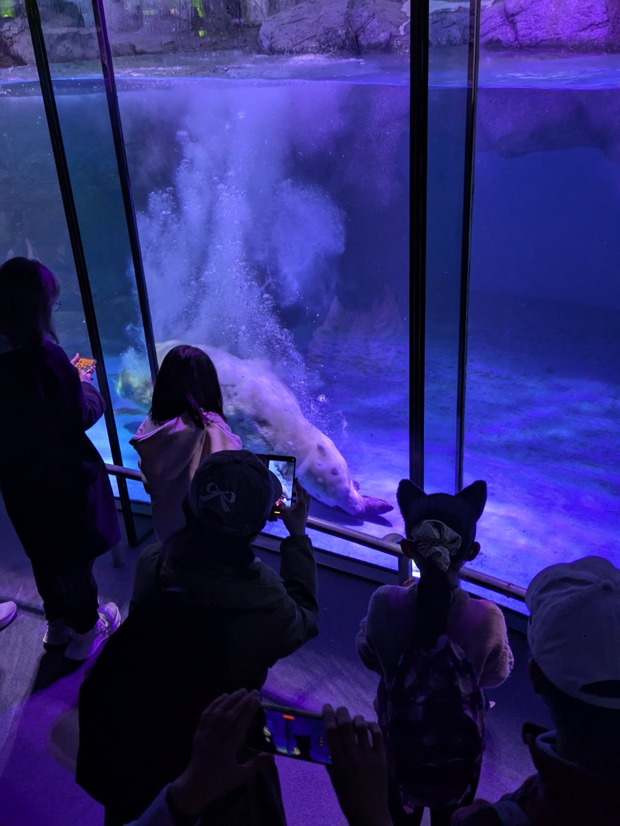 発泡スチロール協会 tweet media