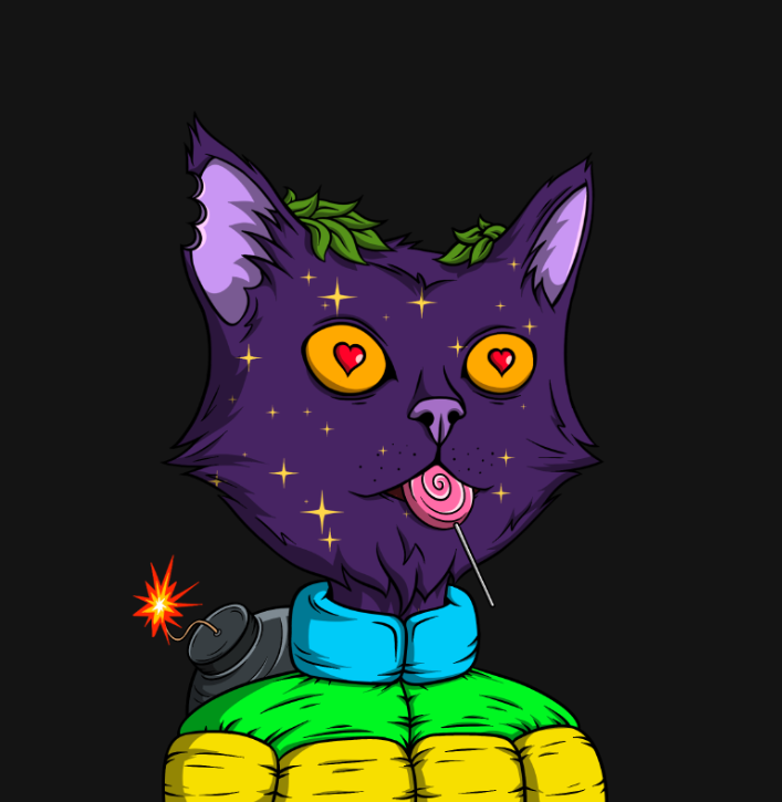 The Elite Cats tweet media