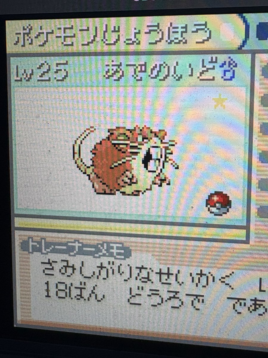 待って！！！！！！配信切った瞬間色違いきた！！！！！！！！！！！
