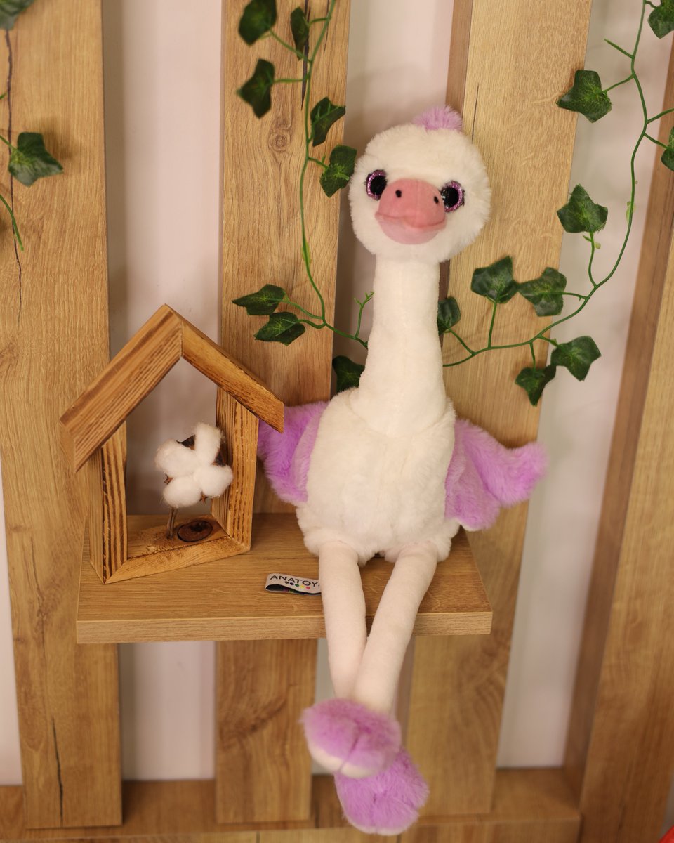 Peluş devekuşu oyuncak, yumuşak dokulu ve dekoratif tasarım. 🧸
Çocuk odası için ideal hediye, sınırlı stok.
Hemen sipariş ver.
🌐 Online sipariş: anatoya.com
📞 İletişim: 0531 397 31 21
#anatoya #pelusoyuncak #cocukodasi #hediyeonerisi #butikoyuncak