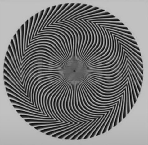 どく姉 tweet media