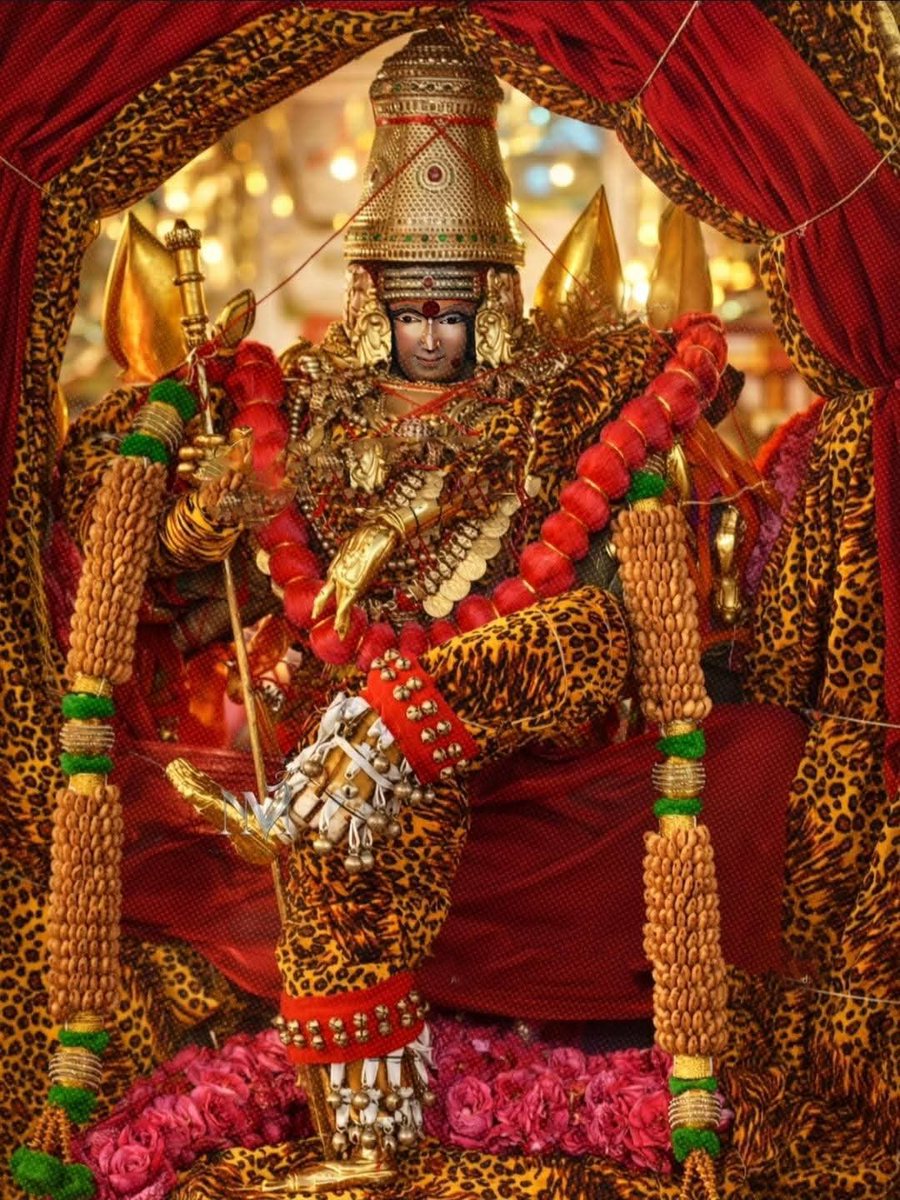 Temple Connect Official tweet media