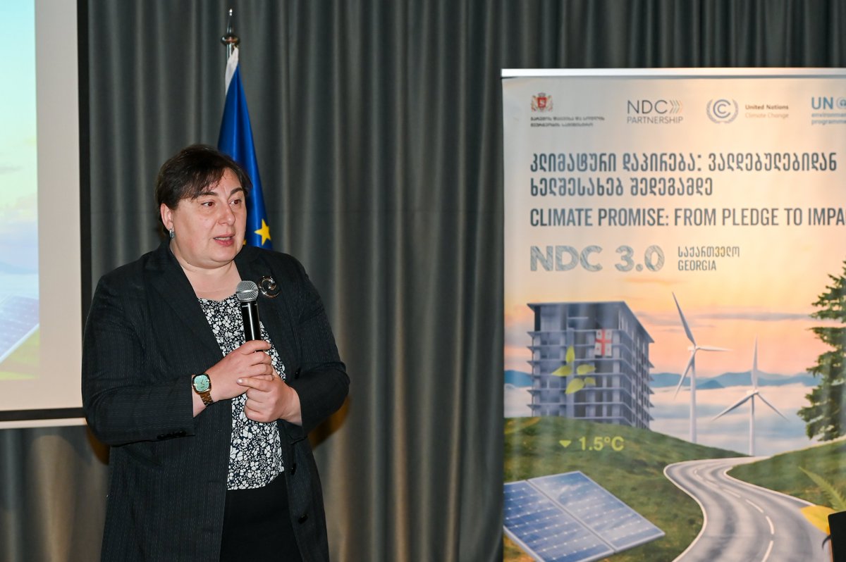 UNDP in Georgia 🇬🇪 tweet media