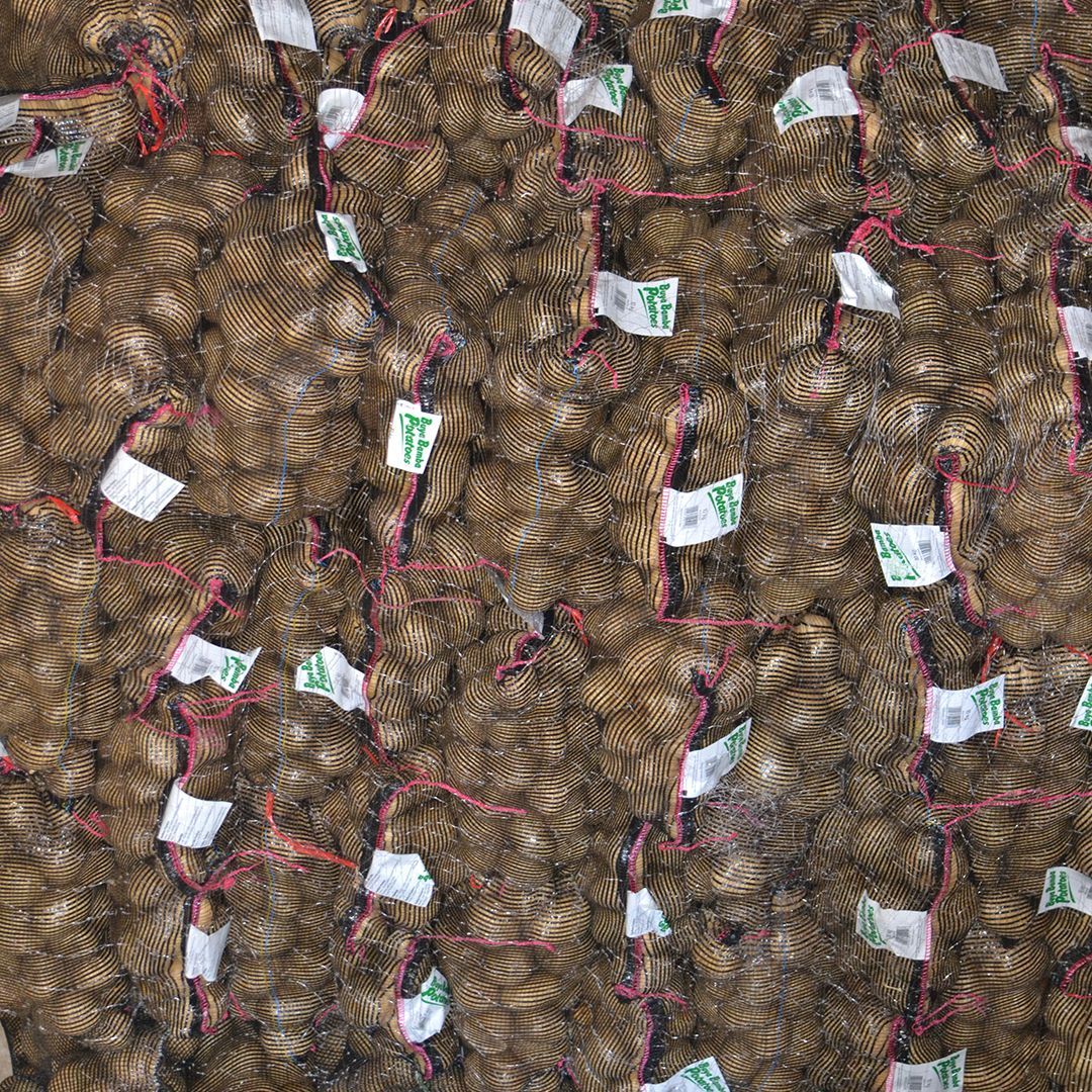 Buya_Bamba's tweet image. From farmers to vendors, retailers to families - Every effort counts. This new month is another chance to strengthen our communities and keep Zambia moving forward 💪🇿🇲
Here’s to growth, consistency, and local excellence. #ZambianAgriculture #FoodSecurity #MarketGrowth