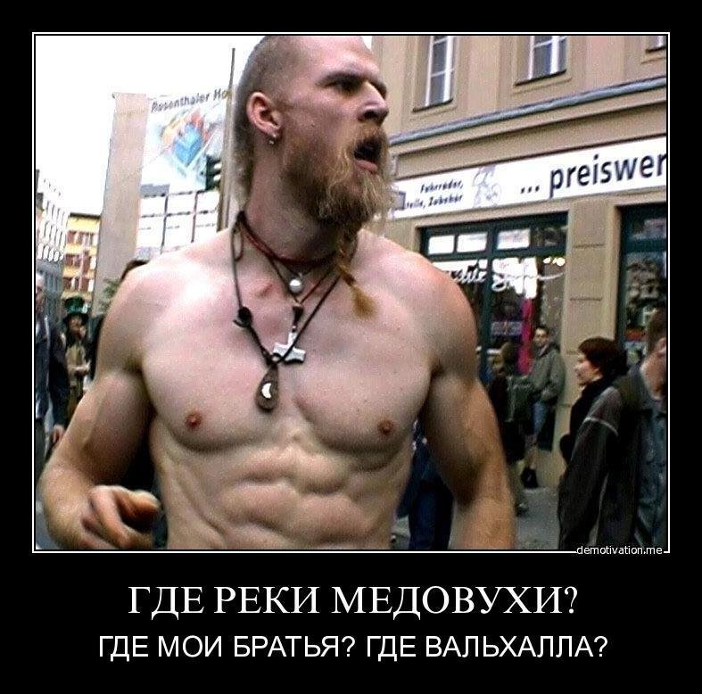 Мыш Нелетучий tweet media
