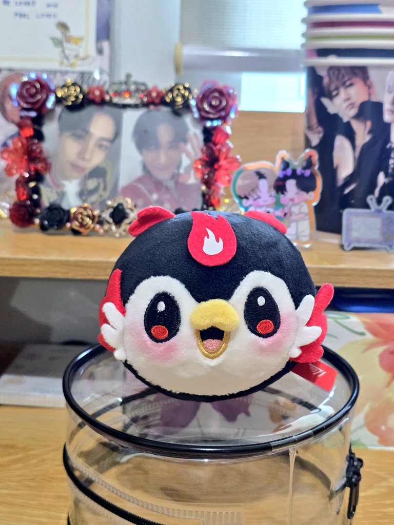 Look at the new member of my familee!!!!!!! 🤩🤩🤩