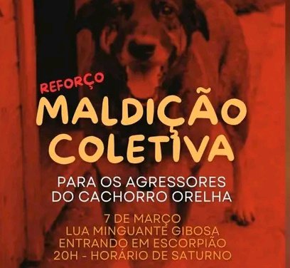MPSC O BRASIL QUER JUSTIÇA

MALDIÇÃO COLETIVA GOSTEI 👍