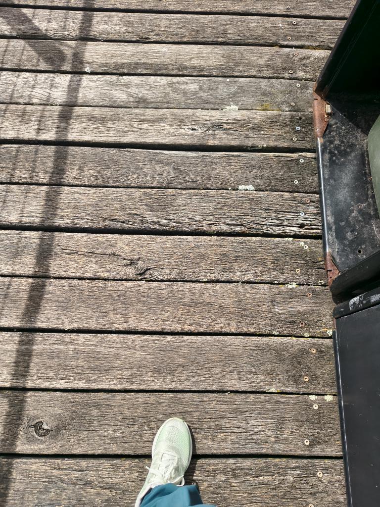 Red Sparrow tweet media