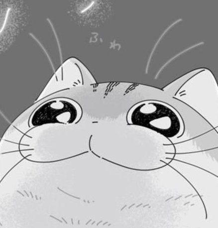 This Is Punk Rock Time tweet media