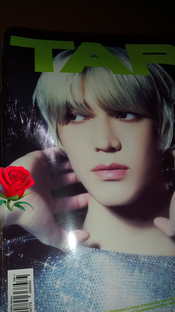 nul 🌹🩷 tweet media