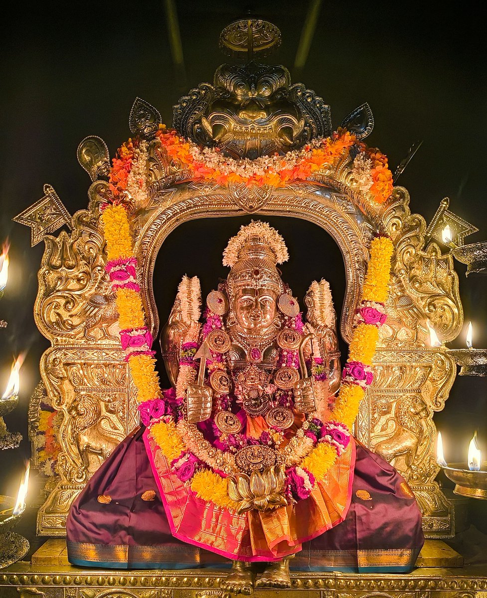 Temple Connect Official tweet media