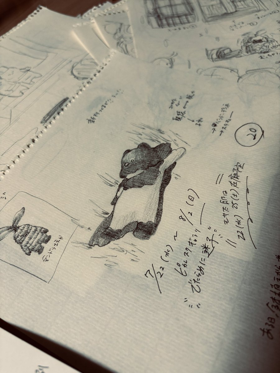 🐱モサモサさん👀 tweet media