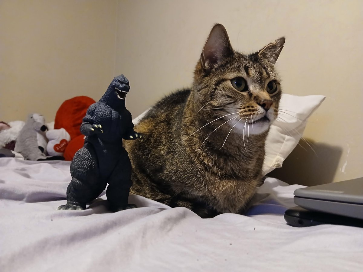 StarFrett7's tweet photo. #promotwt
My name is frett, and I make videos for fun and talk about movies, anime, boxing, games, music, and action figures!
Multi media guy btw.
He/him
18yo
♡ / ↻ to be moots
#mootshunt #promotwt #filmtwt #gojitwt #animetwt https://t.co/XLEVYTFPzR