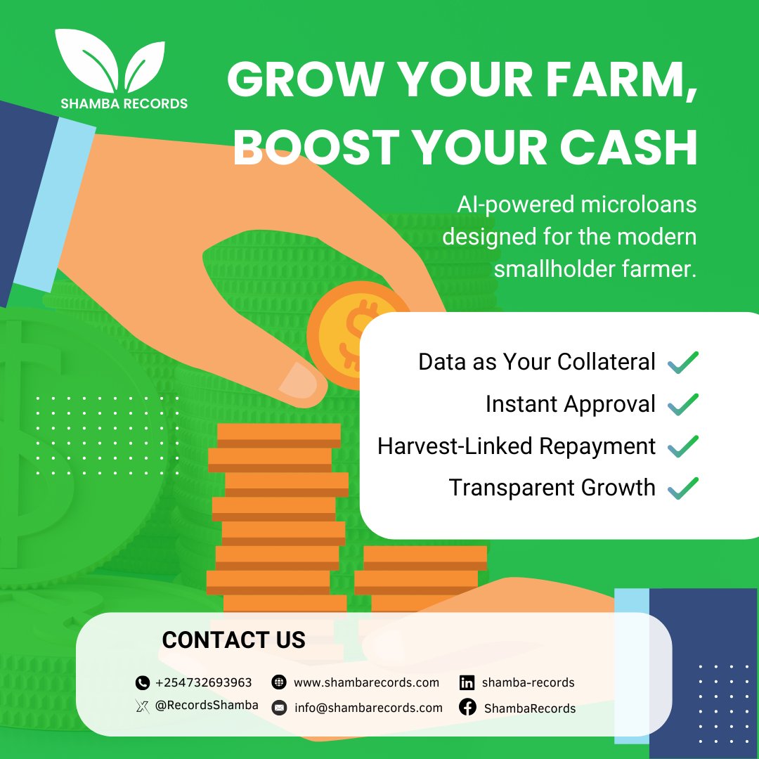 Shamba Records tweet media