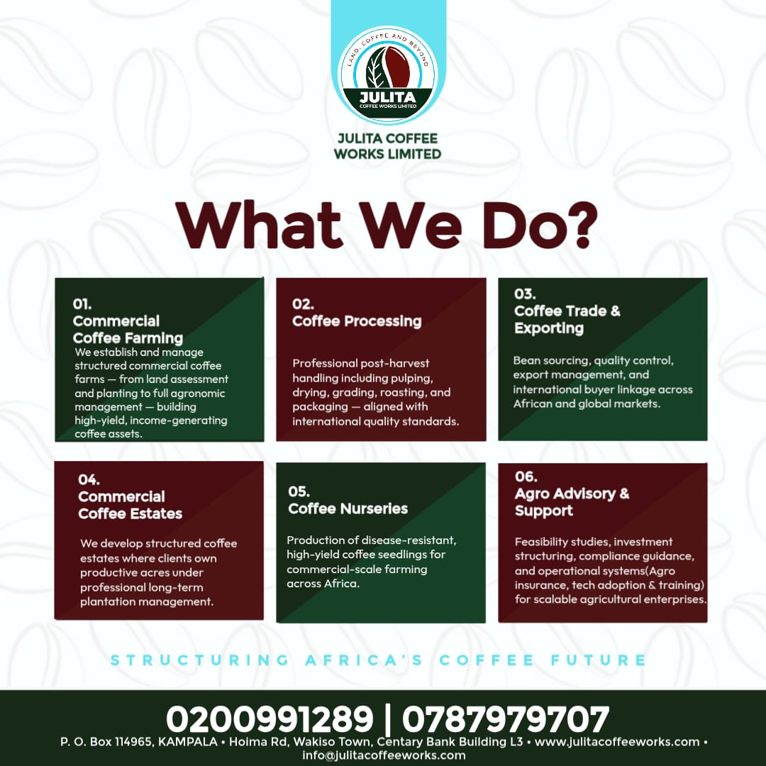 JuliusTumwebaz's tweet photo. Plant coffee. Build something that outlives you.

In case you want to establish a bigger project and you need experts to help you. We're a call away 0787979707. https://t.co/072OQFKEp5