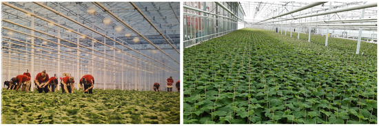 Actuators_MDPI's tweet photo. #Article
📜 Real-Time Point Recognition for Seedlings Using Kernel Density Estimators and Pyramid Histogram of Oriented Gradients
by Moteaal Asadi Shirzi, et al.
https://t.co/U52irhVKFe
@WesternU
#precisionagriculture #machinevision #objectrecognition #featuredescription https://t.co/h48mtut6fl