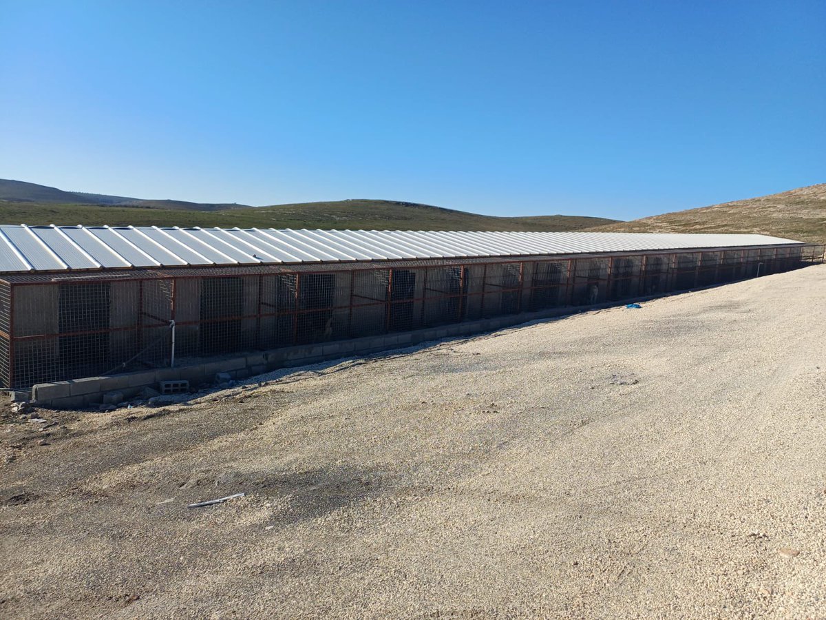 Orhan Gazi KARAKAŞ tweet media