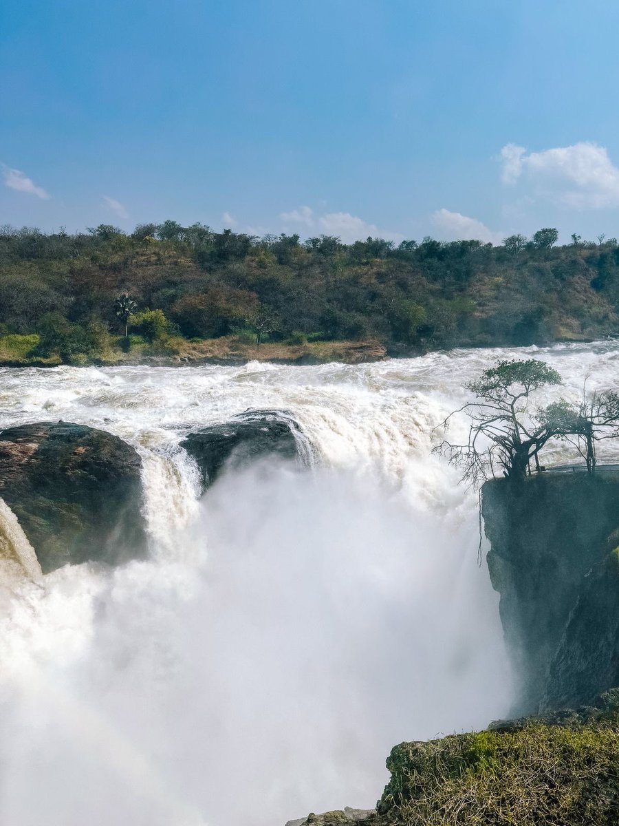 Roaming Uganda tweet media