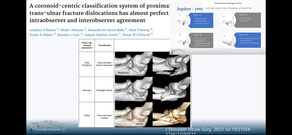 Lee Van Rensburg tweet media