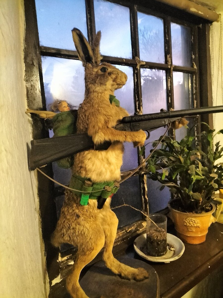 GB Booze 🍻 tweet media