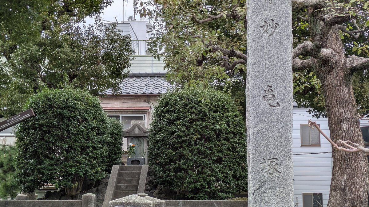 指導する國學院大學の学生と「隅田川」の謡跡巡りをしてきました。人買いに連れられ旅する途中に命を落とした梅若丸を葬った梅若塚と梅若堂がある木母寺、息子を探し狂女となって放浪したものの、この地で息子の死を知った母親を祀った妙亀塚など。二万歩歩いたら膝にきました…
#隅田川 #國學院大學