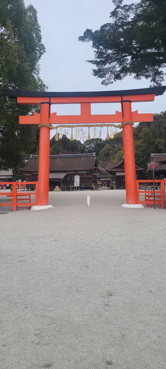 takuyaooka's tweet photo. 仕事が絶不調なので京都の上賀茂神社にお参りに行ってきました。仕事運にご利益があるということで。おみくじを引いたら珍しく大吉で、仕事の願いも縁談も思わず早くととのうと書いてありました。スッキリして、明日から頑張ろうという気持ちになりました⛩️ https://t.co/F6KSDt79fP