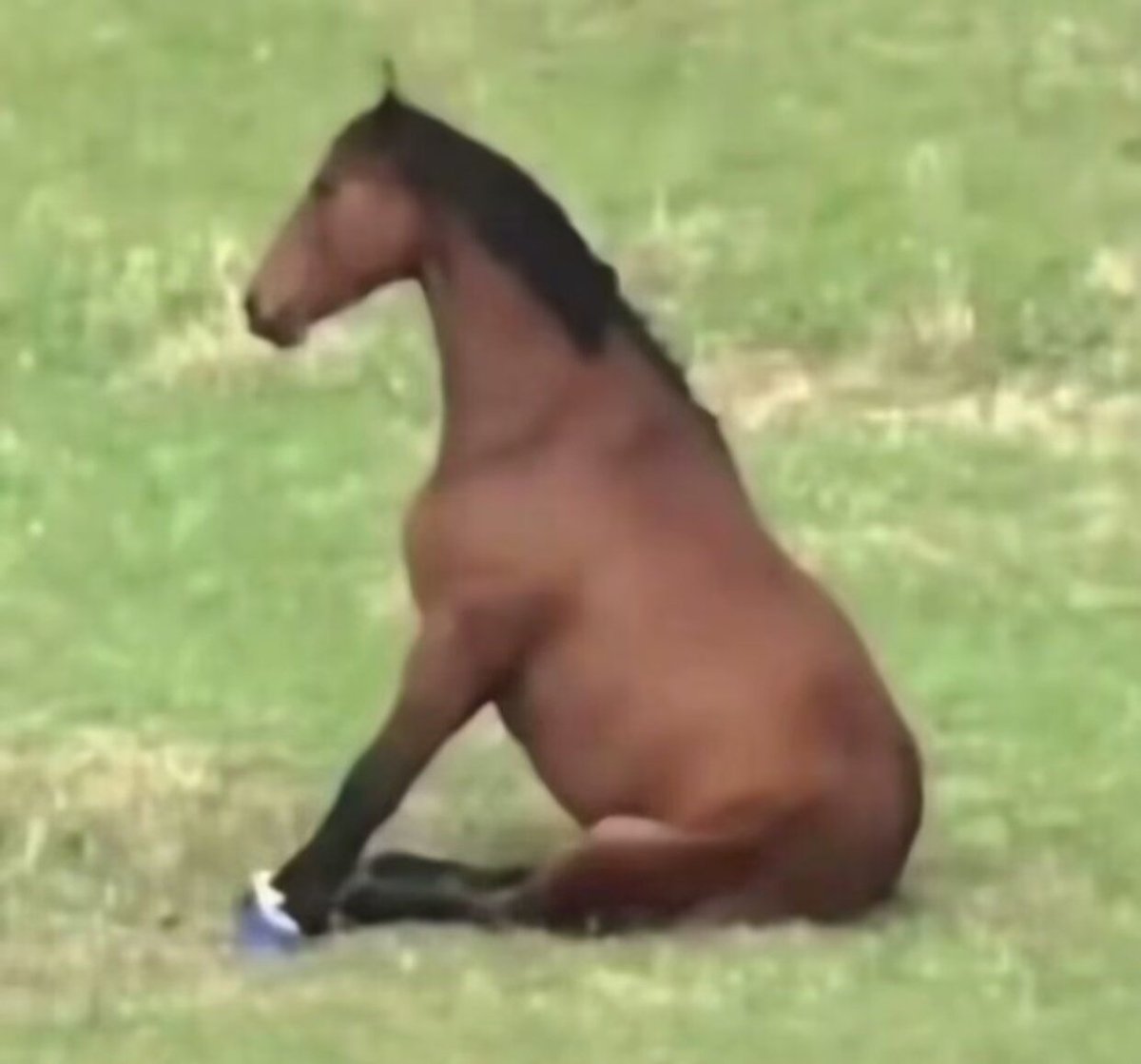 好扶她改变人的一生 tweet media