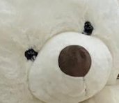 じゅんこ🌋 tweet media