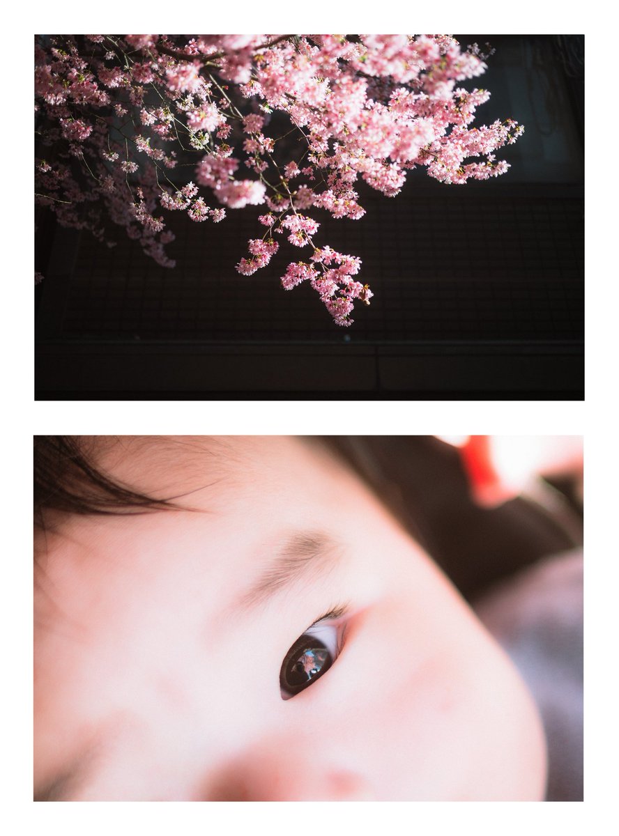 Choco Choco📸 (@ChocoCh01899990) / Posts / X