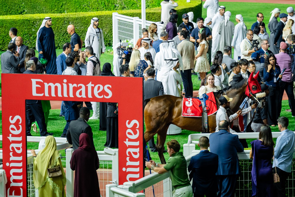 RacingDubai's tweet image. #SuperSaturday - behind the scenes 📸

@emirates
