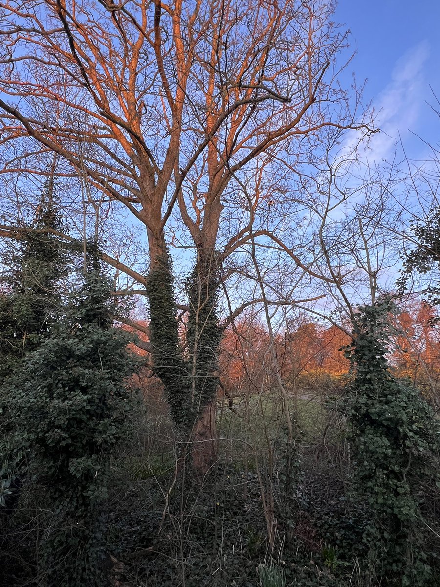 Jen Roberts tweet media