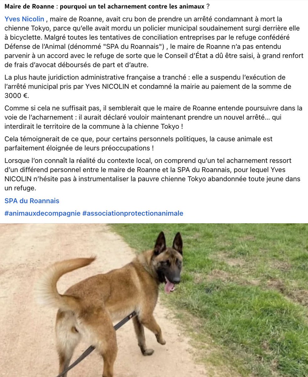 Défense de l'Animal tweet media