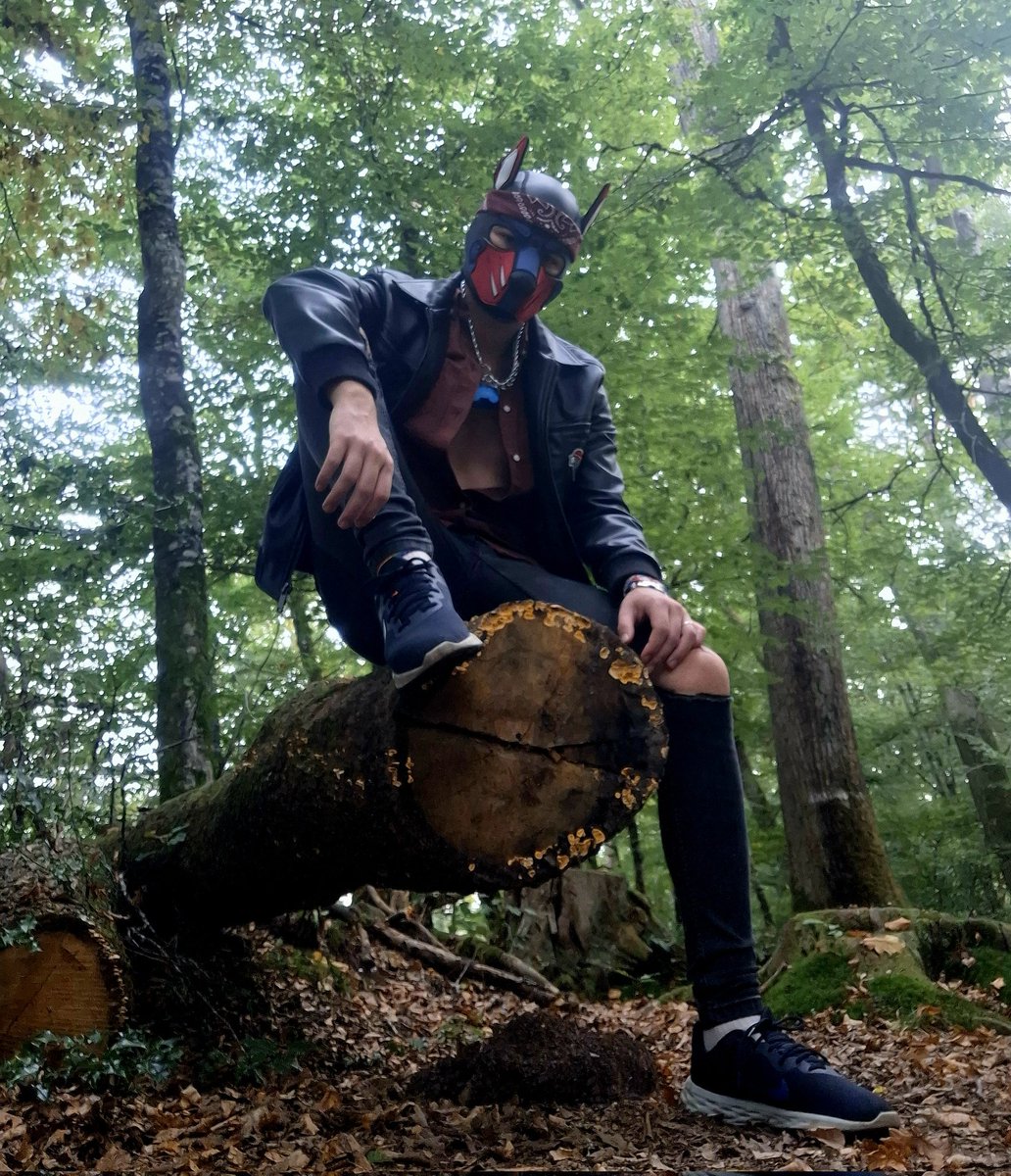 pup_quay's tweet photo. Entre calme et instinct, je trouve mon équilibre.
Une part observe, l’autre ressent… et la forêt garde le secret.

#PuppyVibes #InToTheWoods #PupSpirit #PuppyFrance #MysticForest https://t.co/4aTIWDfgaB